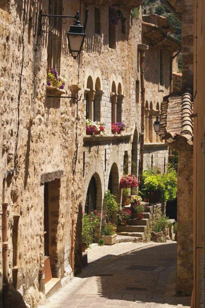 La Maison De La Traverse Saint-Guilhem-le-Desert Esterno foto