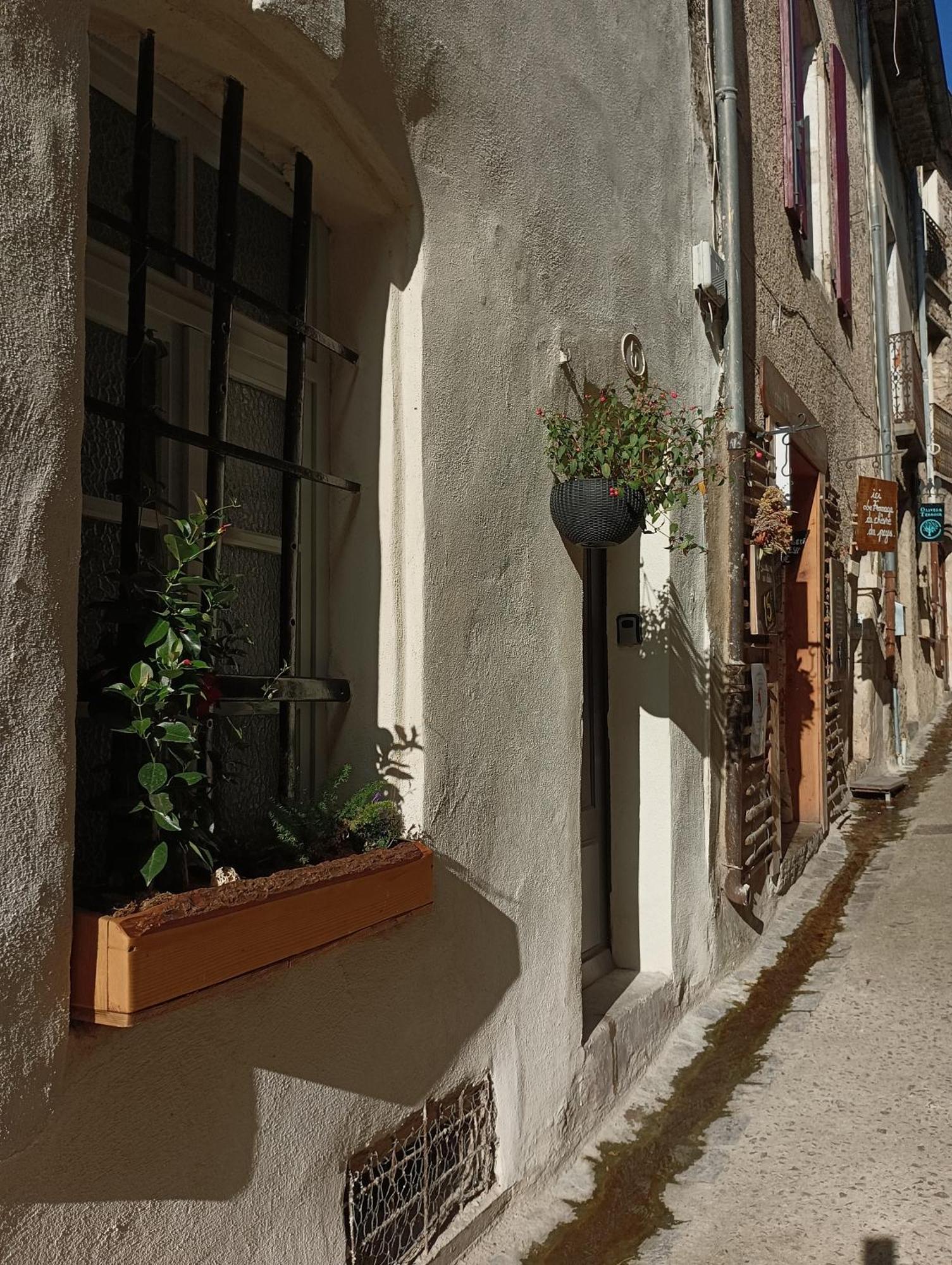 La Maison De La Traverse Saint-Guilhem-le-Desert Esterno foto